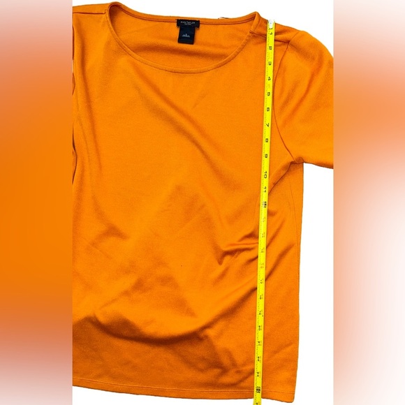 Ann Taylor Factory Burnt Orange Top with Bell Sleeves Size Large - Picture 5 of 8
